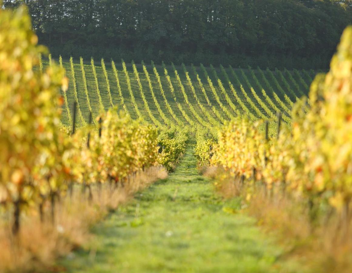 Denbies Vineyard Hotel Dorking Bagian luar foto