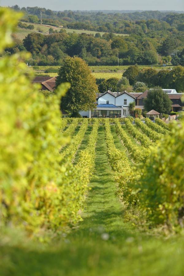 Denbies Vineyard Hotel Dorking Bagian luar foto