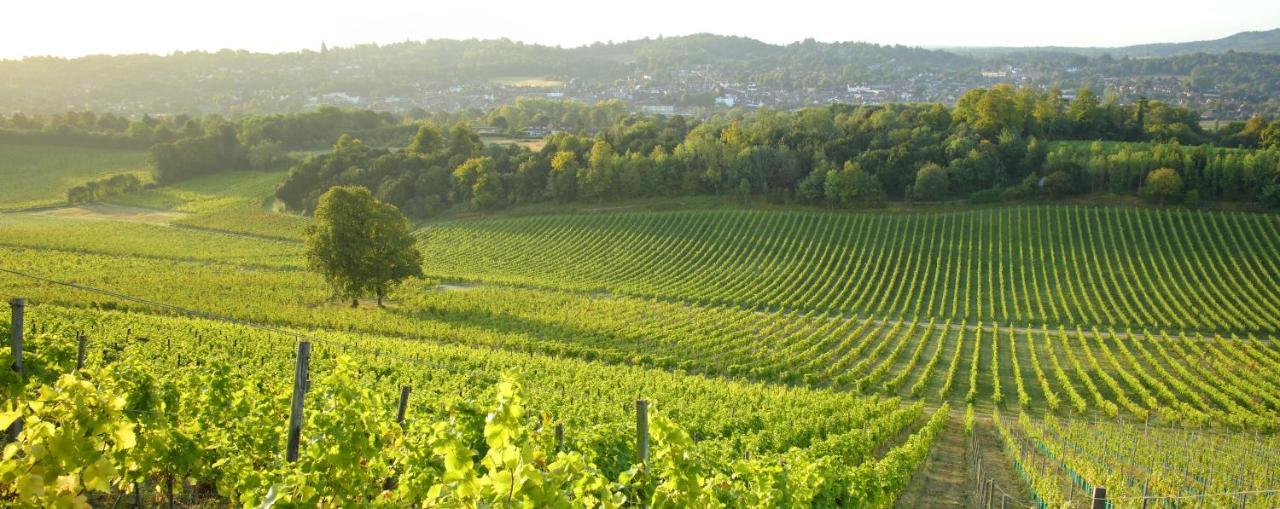 Denbies Vineyard Hotel Dorking Bagian luar foto