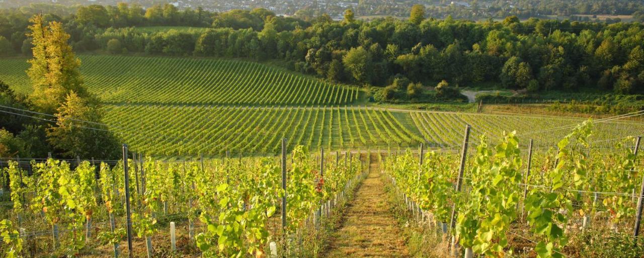 Denbies Vineyard Hotel Dorking Bagian luar foto